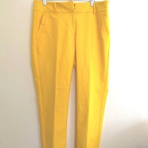 LOFT | NEW WITH TAGS!